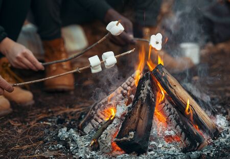 Camping and picnic concept. Close up of people frying marshmallow on fire in forestの写真素材