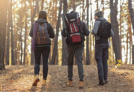 Three young friends with their backpacks on hiking trip in autumn forest, back viewの写真素材