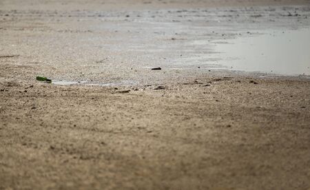 Dirty sandy beach polluted with glass bottles, free space