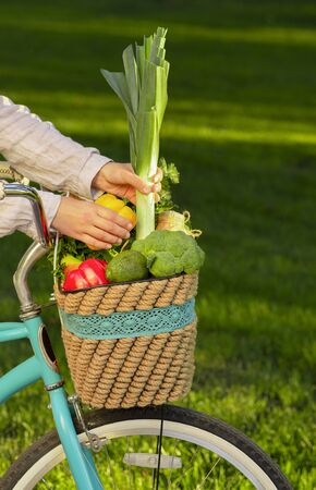 Save the planet concept. Woman collecting fresh vegetables into basket on her retro bicycle over green grass background, vertical panoramaの写真素材