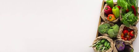 Sustainable lifestyle concept. Assortment of fresh organic vegetables for vegetarian diet isolated on white background, panorama, copy spaceの写真素材