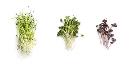 Set of fresh and healthy microgreens from different vegetables isolated on white background, panoramaの写真素材