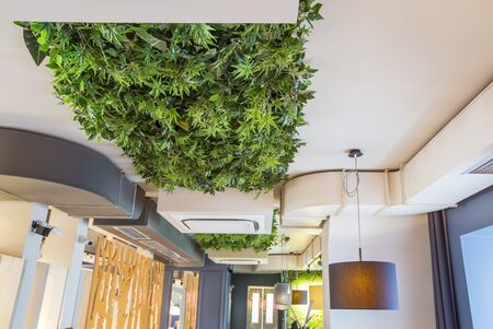 A lot of green leaves on the ceiling, design for cafe or coffee shop, interior decoration conceptの写真素材
