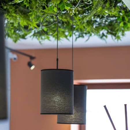 Creative bulbs in loft style, green eco plants on ceiling, modern cafe interiorの写真素材