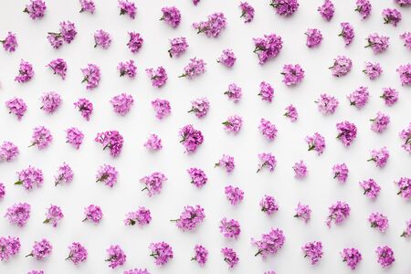 Lilac flowers pattern on white background. Flat lay, top viewの写真素材