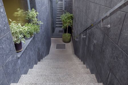 Eco Cafe entrance decorating with green plants in pots and small tree, concrete stairs, copy space