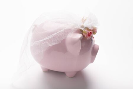 Bride piggy bank for 2020 wedding on white background. Concept for money saving plan, love, romance, or Valentine day.の写真素材