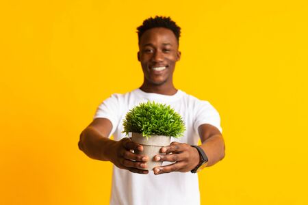 Young smiling african man holding pot with green plant in hands looking happy, blurred yellow backgroundの写真素材