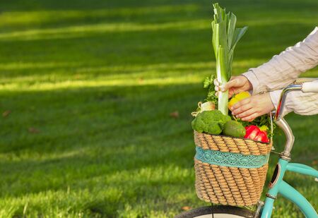 Woman riding from market on bicycle with organic purchases, green grass background, copy spaceの写真素材