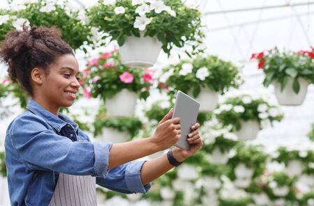 Working with digital technology in greenhouses with flowers. Smiling african american and farm worker girl with tablet making photo in daylightの写真素材