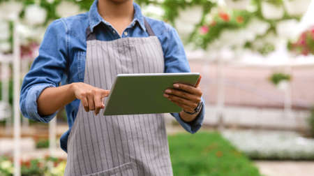 Farm worker and climate control in greenhouse. African american girl in apron works on digital tablet in interior of orangeryの写真素材