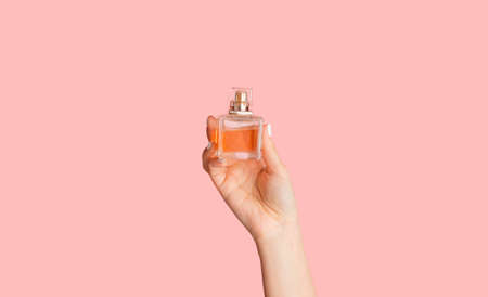 Closeup of female hand showing glass bottle with perfume over pink background, panoramaの写真素材
