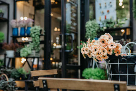 Making decorations and arrangements in floral design studio. Cream daisies in basket on table in flower shop in interiorの写真素材