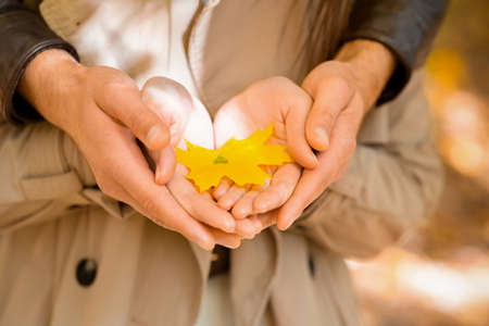 Couple holding yellow maple leaf in palms, caring for nature, closeup