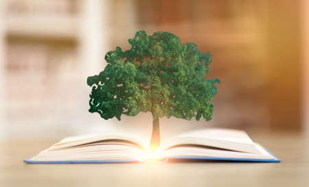 Knowledge Concept. Tree Growing From Opened Book Lying On Desk In Library. Educational Collage...