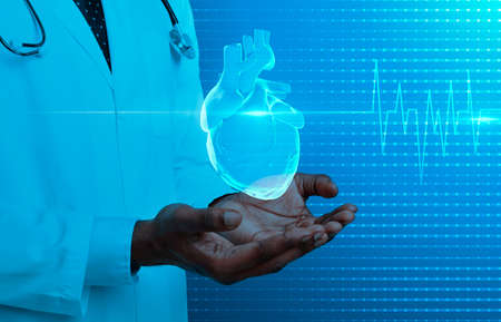 Heart health concept. Black medical doctor hands holding human heart and , cardiogram, cropped,...
