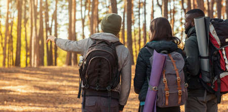 Back view of international friends hikers walking by forest, guy pointing at copy space, panorama