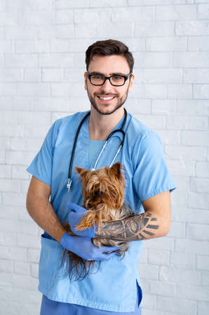 Portrait of handsome male vet doctor holding adorable Yorkshire terrier at clinicの写真素材