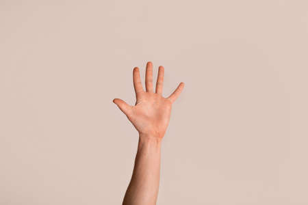 Young guy showing his hand with open palm, gesturing high five on light background, closeup. Panoramaの写真素材