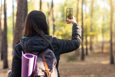 Back view of woman with backpack taking photo of forest on mobile phone, copy space