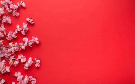 Plum Flowers Blossom on red background good for chinese new year, copy space for textの写真素材