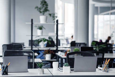 Office interior with white columns and panoramic windows in modern loft. Many green plants in pots...