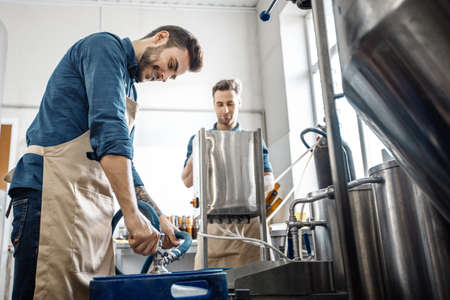 Small family business, drink productions and modern brewery. Busy young attractive male workers in...