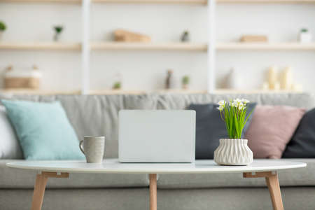 Work from flat, home comfort and minimalist style. Gray sofa with pillows, table with laptop and pot with flower and coffee in cup in modern living room interior, flat lay, copy space, nobody, indoor