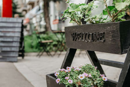 Cozy cafeteria on city street, small business and flower shop during  quarantineの写真素材