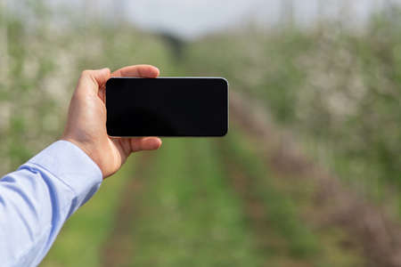 Smart garden, business management, blog and technologyの写真素材