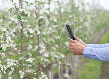 Gardener checks condition and availability of flowers, with entries in tabletの写真素材
