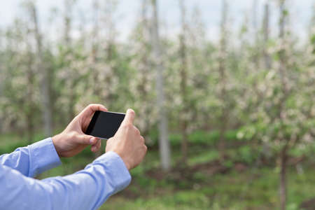 Invitation in gardening business and fruit industry, growing of plantsの写真素材