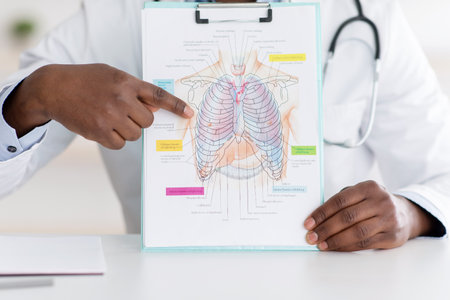 Doctor talking about  virus disease, showing picture with chest, lungs and respiratory organ on notepadの写真素材