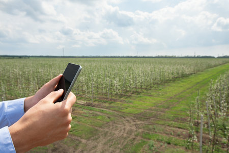 Mans hands hold phone to record information of fruits grown in garden, spring blooming and industry