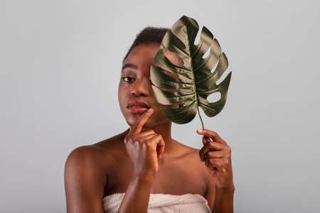 Natural beauty. Beautiful african american woman with smooth skin holding tropical leaf on grey studio backgroundの写真素材