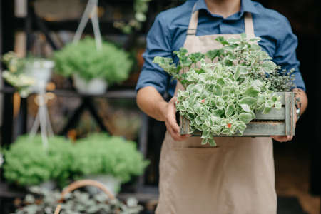 order bouquets online and work of florist in flower shop