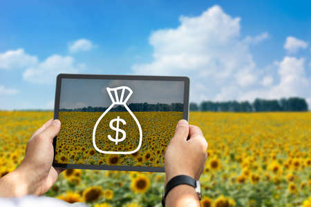 Farmer using modern digital tablet for agribusiness processes automatizationの写真素材