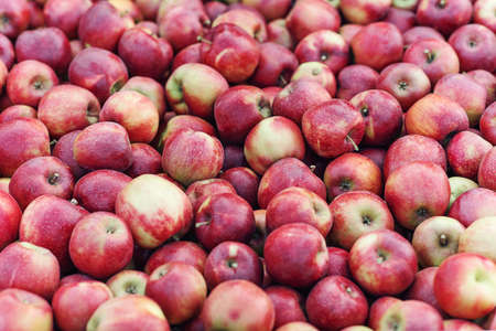 Organic products from farm garden