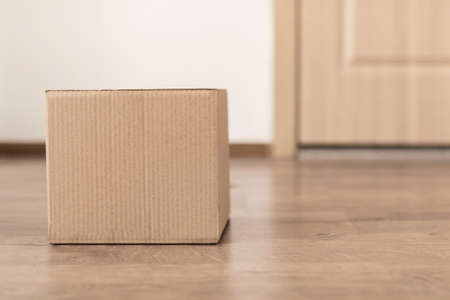 Delivered Cardboard Box Lying On Floor Near Door Of Apartment