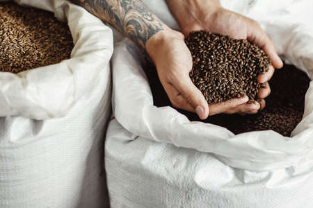 Harvest for alcohol production, small business and craft beer industryの写真素材