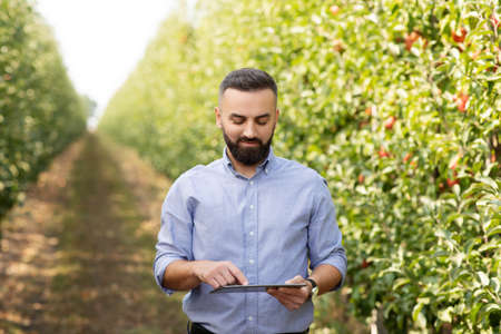 Modern businessman and smart device work on fruit farm in summer. Harvest seasonの写真素材