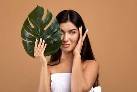 Skincare and beauty concept. Portrait of beautiful armenian woman posing with monstera leaf on brown backgroundの写真素材