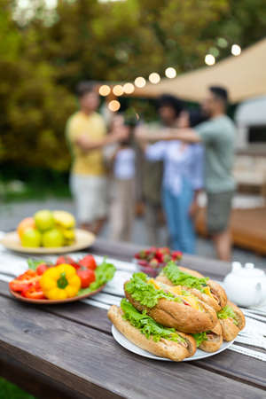 Sandwiches and vegetables, picnic foods on table outdoors, group of young friends toasting with beer on backgroundの写真素材