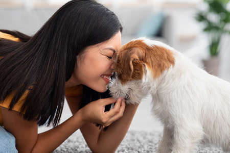 Happy asian woman petting her cute dog at homeの写真素材