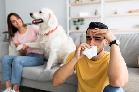 Sad Arab man suffering from cold or allergy, wiping his nose with paper tissue, his wife and cute dog on backgroundの写真素材