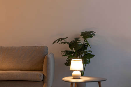 Modern sofa, glowing lamp on table in evening, plant in pot on floor on gray wall background in living roomの写真素材