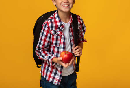 Cropped smart smiling caucasian teenage boy pupil with backpack holding red appleの写真素材