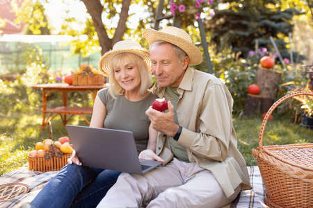 Happy senior spouses web surfing on internet with laptop, sitting on blanket in garden, enjoying sunny autumn dayの写真素材