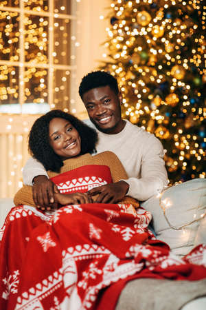 Smiling black couple cuddling under warm plaid near decorated fir tree on Christmas nightの写真素材