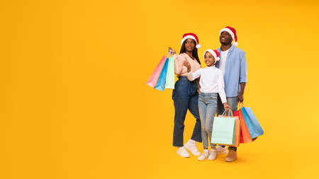 Excited family holding shopping bags at studio. Xmas Salesの写真素材